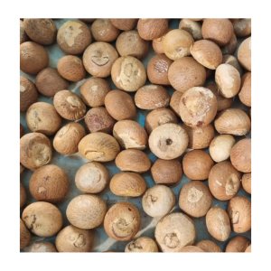 Betel nuts -Areca nuts-