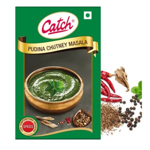 Pudina Chutney Masala